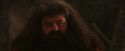 PF-Potterish_02623.jpg
