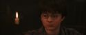 PF-Potterish_02647.jpg