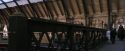 PF-Potterish_02658.jpg
