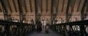 PF-Potterish_02664.jpg