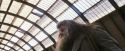 PF-Potterish_02665.jpg
