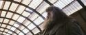 PF-Potterish_02666.jpg