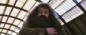PF-Potterish_02674.jpg