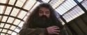 PF-Potterish_02675.jpg