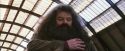 PF-Potterish_02676.jpg
