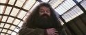 PF-Potterish_02677.jpg