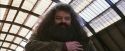 PF-Potterish_02678.jpg
