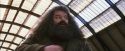 PF-Potterish_02679.jpg