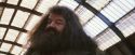 PF-Potterish_02686.jpg