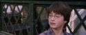 PF-Potterish_02709.jpg