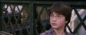 PF-Potterish_02711.jpg