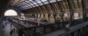 PF-Potterish_02713.jpg
