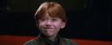 PF-Potterish_02837.jpg