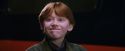 PF-Potterish_02838.jpg