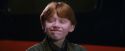 PF-Potterish_02839.jpg
