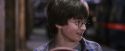 PF-Potterish_02840.jpg
