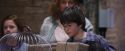 PF-Potterish_02855.jpg