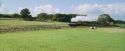 PF-Potterish_02923.jpg