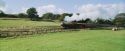 PF-Potterish_02925.jpg