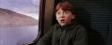 PF-Potterish_02960.jpg