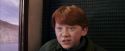 PF-Potterish_02971.jpg
