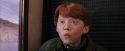 PF-Potterish_02976.jpg
