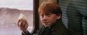 PF-Potterish_02987.jpg