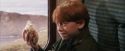 PF-Potterish_02989.jpg