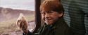 PF-Potterish_02993.jpg