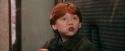 PF-Potterish_03033.jpg