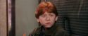 PF-Potterish_03040.jpg