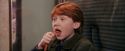 PF-Potterish_03041.jpg