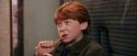 PF-Potterish_03042.jpg