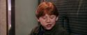 PF-Potterish_03051.jpg