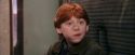 PF-Potterish_03052.jpg