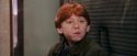 PF-Potterish_03053.jpg