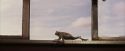 PF-Potterish_03067.jpg