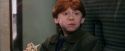 PF-Potterish_03090.jpg