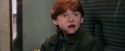 PF-Potterish_03092.jpg