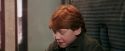 PF-Potterish_03098.jpg