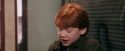PF-Potterish_03099.jpg