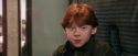 PF-Potterish_03103.jpg