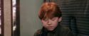 PF-Potterish_03109.jpg