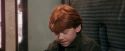 PF-Potterish_03110.jpg