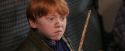 PF-Potterish_03125.jpg