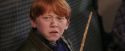 PF-Potterish_03126.jpg