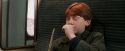 PF-Potterish_03133.jpg