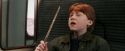 PF-Potterish_03134.jpg
