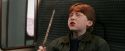 PF-Potterish_03135.jpg