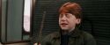PF-Potterish_03136.jpg